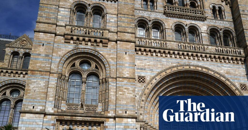 Natural History Museum tops UK attraction list with record visitors | Natural History Museum Natural History Museum tops UK attraction list with record visitors | Natural History Museum