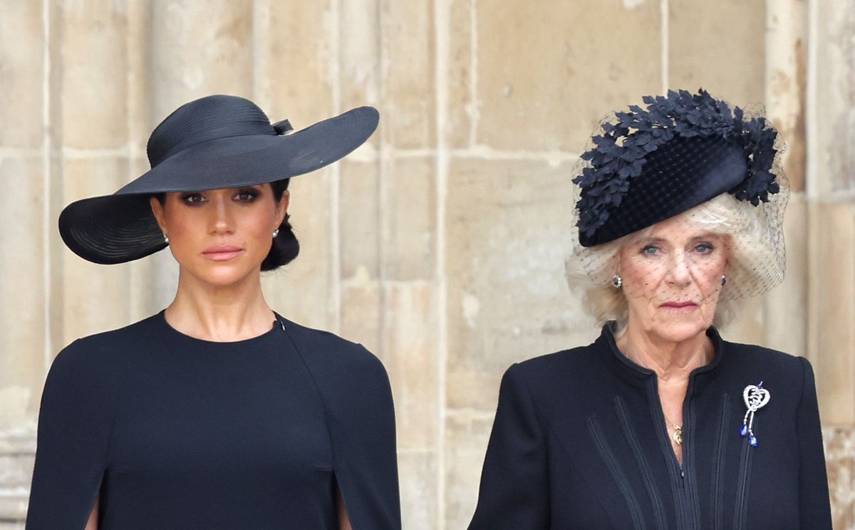 Queen Camilla told friend Meghan Markle ‘brainwashed’ Prince Harry, new book claims