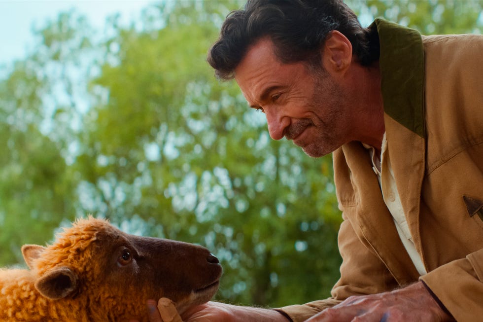hugh jackman, the sheep detectives