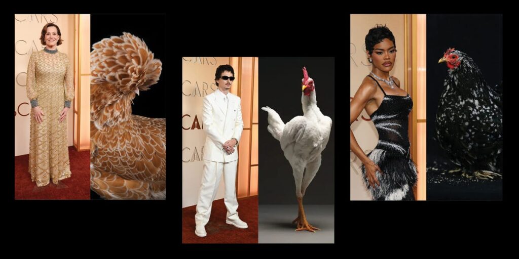 Who Wore It Best? Celebrity Vs. Chicken