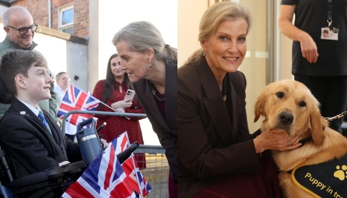 Buckingham Palace issues update on Duchess Sophies big achievement in Ireland