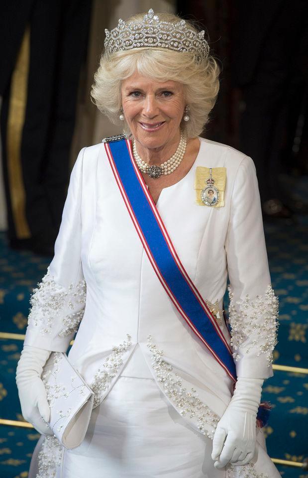 Queen Consort Camilla at The State Opening of Parliament in London in May 2016.Credit: Eddie Mulholland - WPA Pool/Getty Images