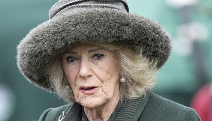 Queen Camilla passes on her best therapy as Charles expands neighbourhood