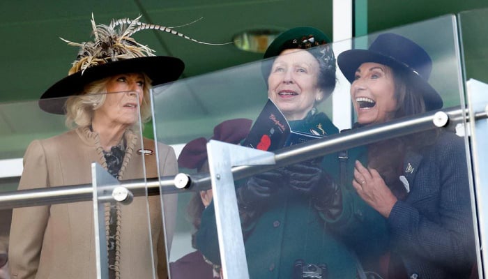 Royal family shares Queen Camillas chat after Carole Middleton reunion