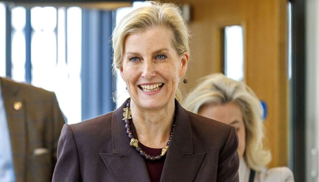 Duchess Sophie performs key role on King’s behalf in Palace meeting Duchess Sophie performs key role on King's behalf in Palace meeting