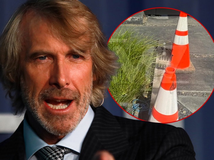 michael bay crash tmzgetty