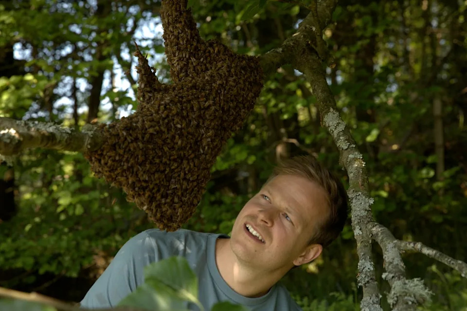 Bertie Gregory (pictured) discovered he had a strong reaction to bee stings after being stung in the face during filming (National Geographic/Huw Cordey)