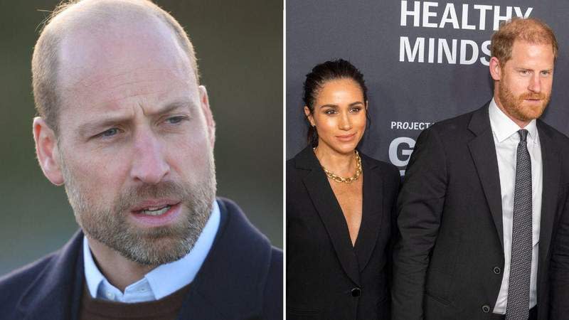 Princes William and Harry reunited on July 1, 2021, to unveil a statue of Princess Diana.MEGA