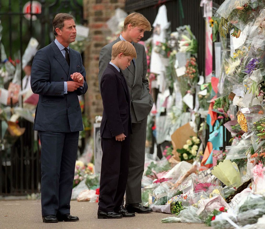 Prince Charles, Prince William and Prince Harry looking at a memorial to Princess Diana.Credit: Anwar Hussein/Getty