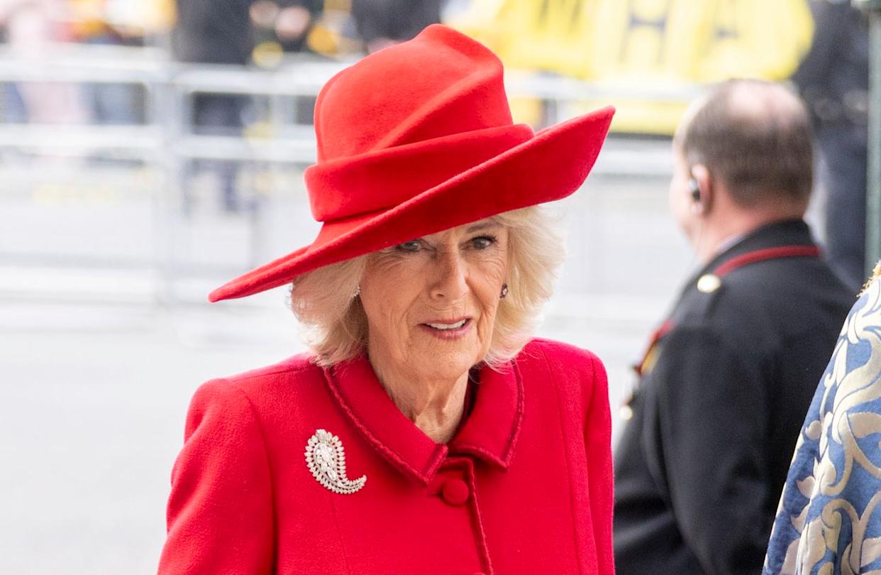 Queen Camilla wore a brooch that was beloved by Queen ElizabethCredit: Getty