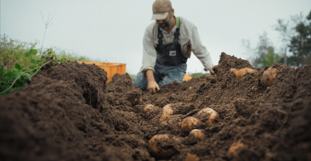 Food System Doc ‘Fork In The Road’ Premieres At Sonoma Film Festival Food System Doc 'Fork In The Road' Premieres At Sonoma Film Festival