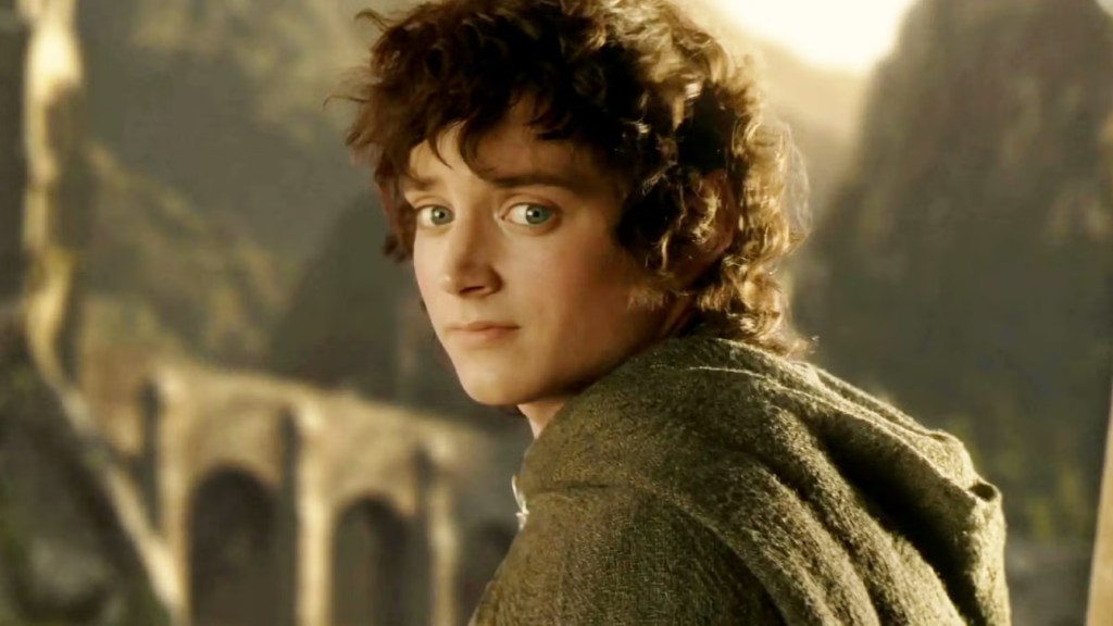 Frodo looking back at his friends in The Lord of the Rings: The Return of the King