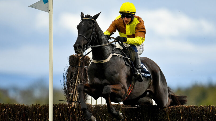 Cheltenham Gold Cup favourite Galopin Des Champs winning at Fairyhouse in 2024