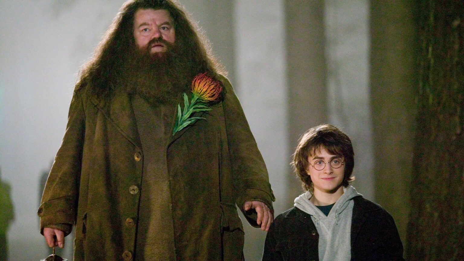 Harry Potter Fans Slam the Worst Plot Hole, 27 Years on