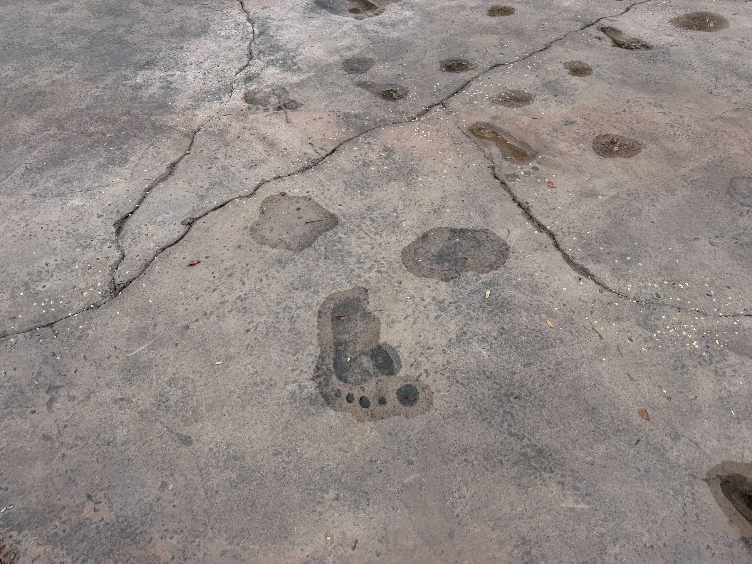 Shrek’s Swamp Splash Pad Paved Over

