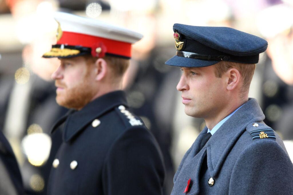 Prince Harry and William's rift driven by feud over military—book