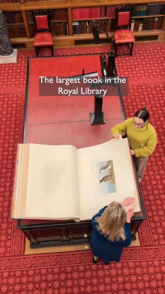 John James Audubon’s Birds of America is the largest book in the Royal Library and it takes two people to turn the page