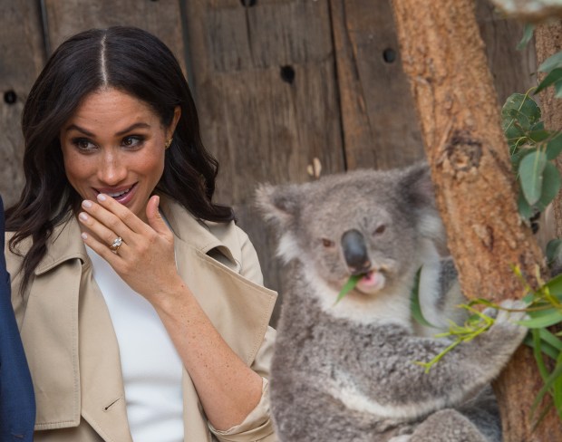 SYDNEY, AUSTRALIA - OCTOBER 16: Meghan, Duchess of Sussex meets a Koala called Ruby during a visit to Taronga Zoo on October 16, 2018 in Sydney, Australia. The Duke and Duchess of Sussex are on their official 16-day Autumn tour visiting cities in Australia, Fiji, Tonga and New Zealand. (Photo by Dominic Lipinski - Pool/Getty Images)