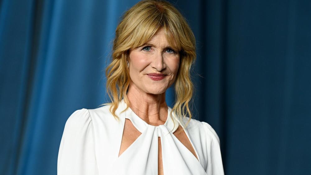 Jeffrey Epstein TV Series in the Works: Laura Dern to Play Journalist Who Investigated His Crimes, Adam McKay to Produce