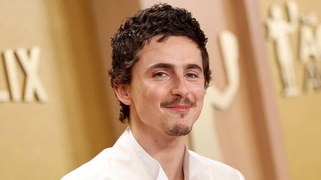 Timothée Chalamet Under Fire For Tasteless Comment About Ballet And Opera