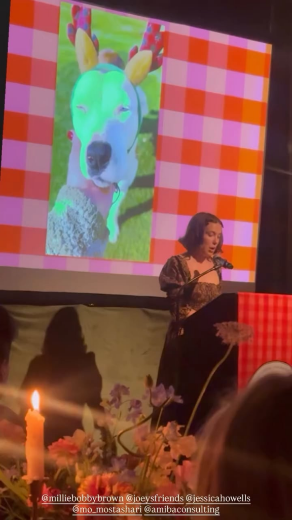 Millie Bobby Brown speaking about her animal rescue Joey's Friends: “A rescue is not just about food and shelter. It’s about emotional healing.”