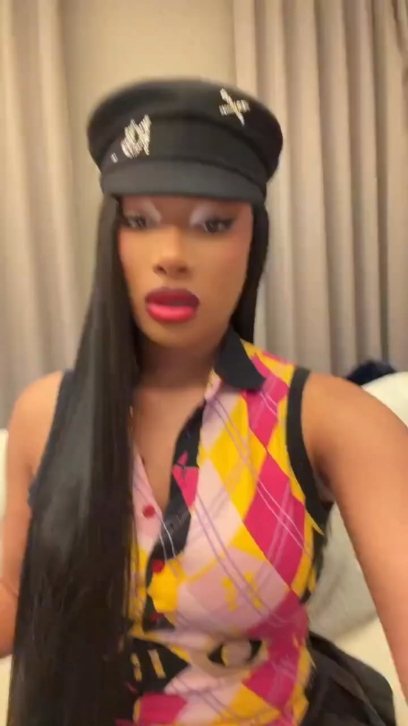 Megan Thee Stallion rescued a dog that was about to be euthanized at a kill shelter. Meet her new son TYGER!
