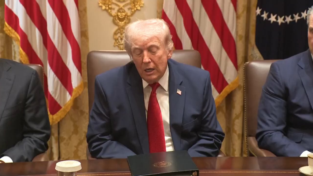 Trump goes on another unhinged racist rant on Somalia: "These people come from a crooked country, disgusting country, one of the worst countries in the world....They have no money, they have nothing. They come to our country, low IQs, and they rob us blind. Stupid people, and they rob us blind."