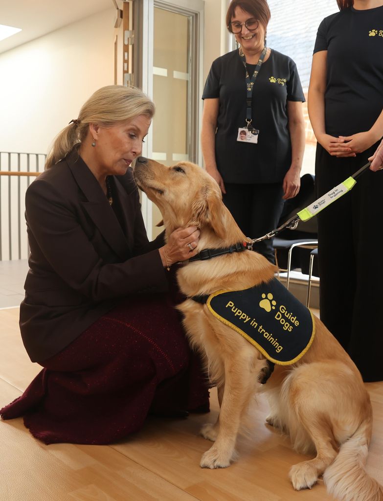 The Duchess of Edinburgh meets representatives from Guide Dogs, and puppy in training Luna
