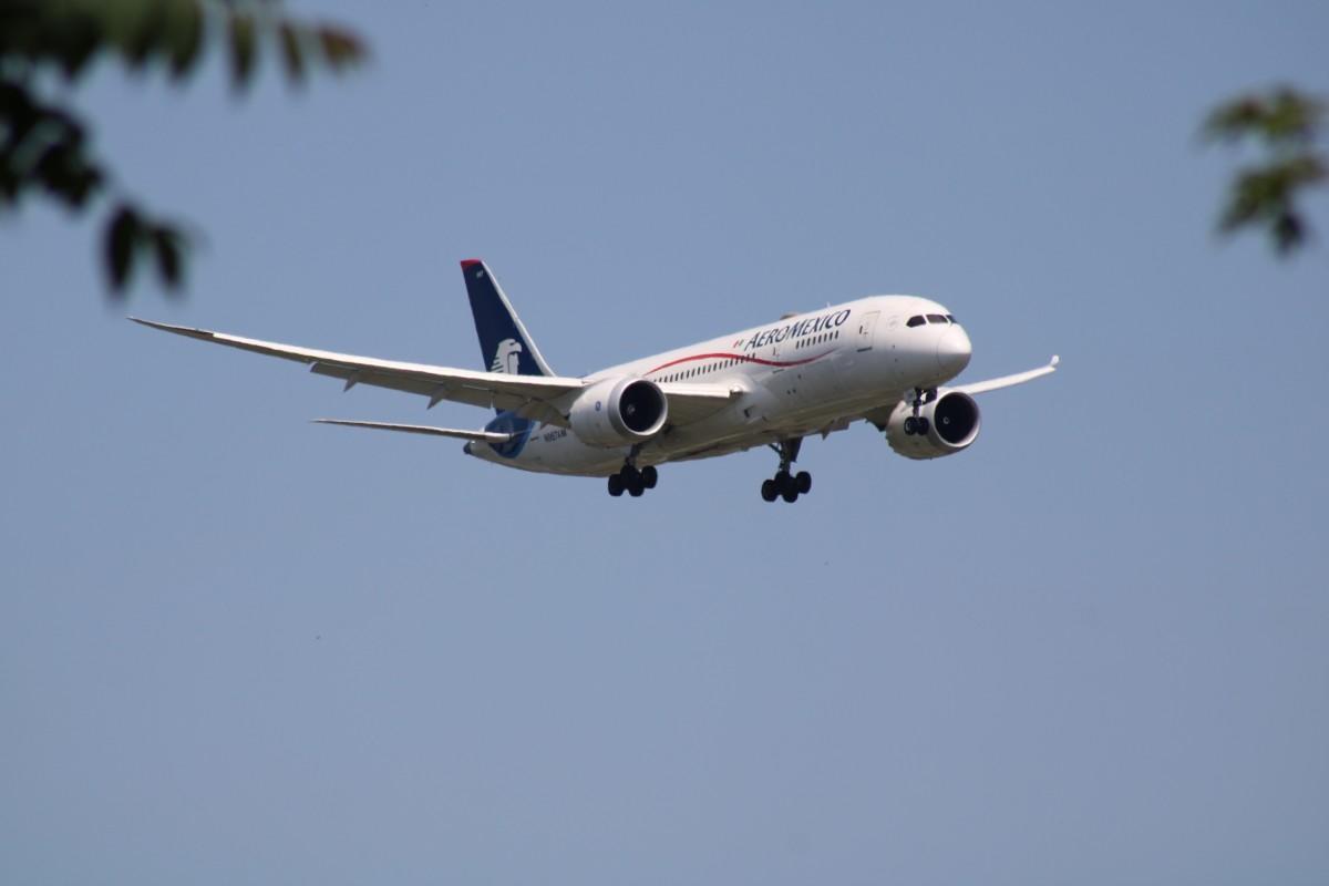 The Global Guy &sol; Shutterstock&period;com