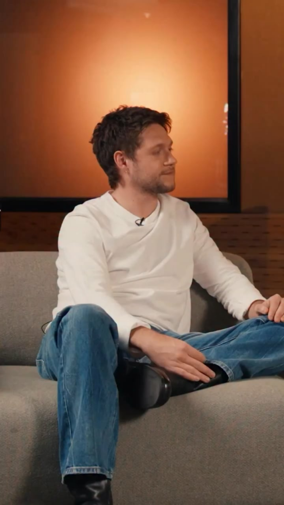 Niall Horan’s underrated One Direction song?: Steal My Girl