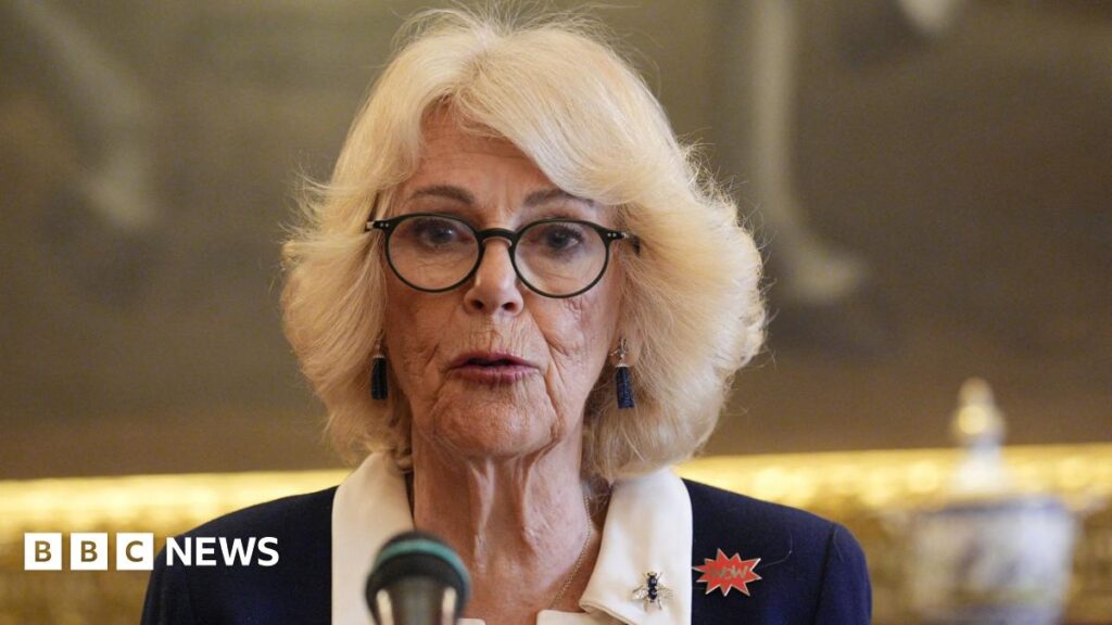 Queen Camilla speaking at St James's Palace