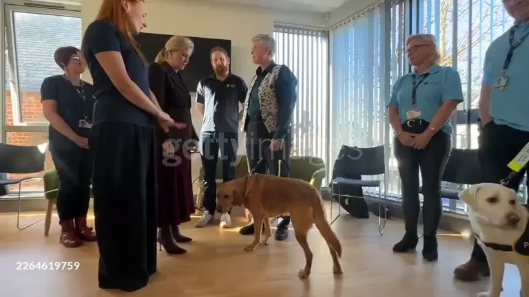 Sophie meets with Good Bois and volunteers celebrating the 40th anniversary of the group Guide Dogs for the Blind in Northern Ireland.