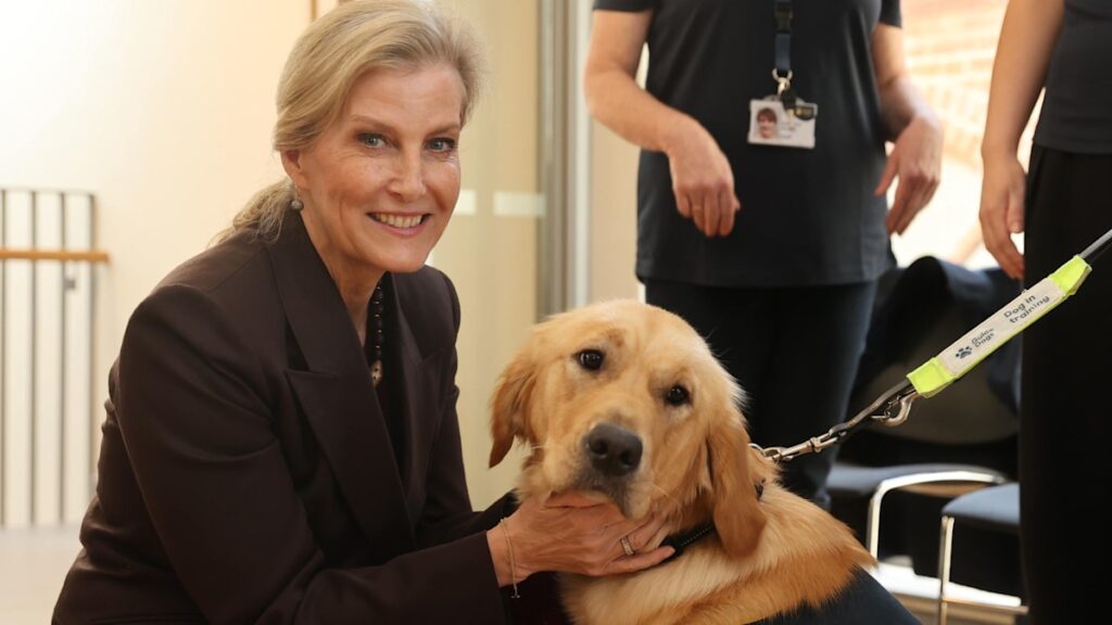 Duchess Sophie fawns over adorable guide dog puppies during historic visit – best photos Duchess Sophie fawns over adorable guide dog puppies during historic visit - best photos