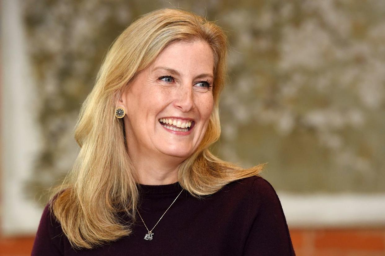 Sophie, Duchess of Edinburgh, in Windlesham, England, in July 2020.Credit: Stuart C. Wilson/WPA Pool/Getty Images