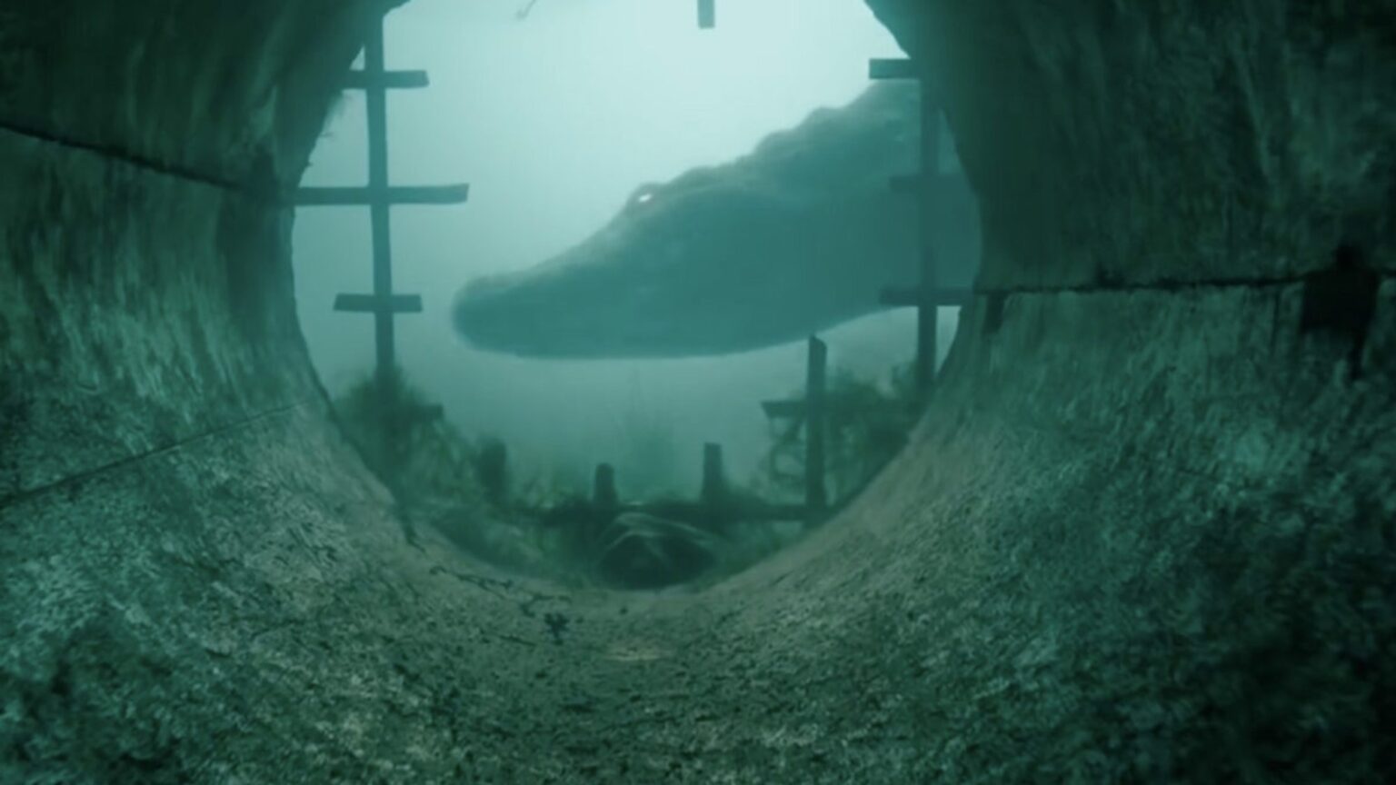 A Creature Feature Hidden Gem Just Arrived on Paramount+ (And It Finally Has a Sequel Update)