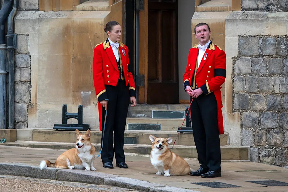 Members of the Royal Household stand with the queen’s corgis, Muick and Sandy, as they await the funeral cortege on Sept. 19, 2022, in Windsor, England. / Justin Setterfield / Getty Images