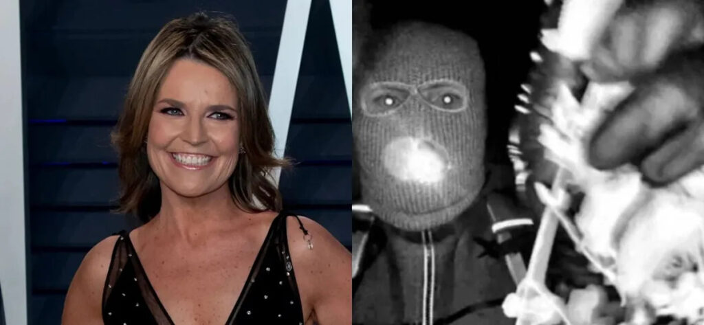 Ex-FBI Agent Reveals Why Savannah Guthrie’s Interview Will Leave Her Mother’s Abductors ‘Terrified’ Yahoo entertainment home