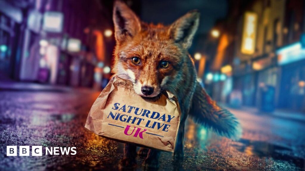 Saturday Night Live UK: Can it make Britons laugh? Small Prophets