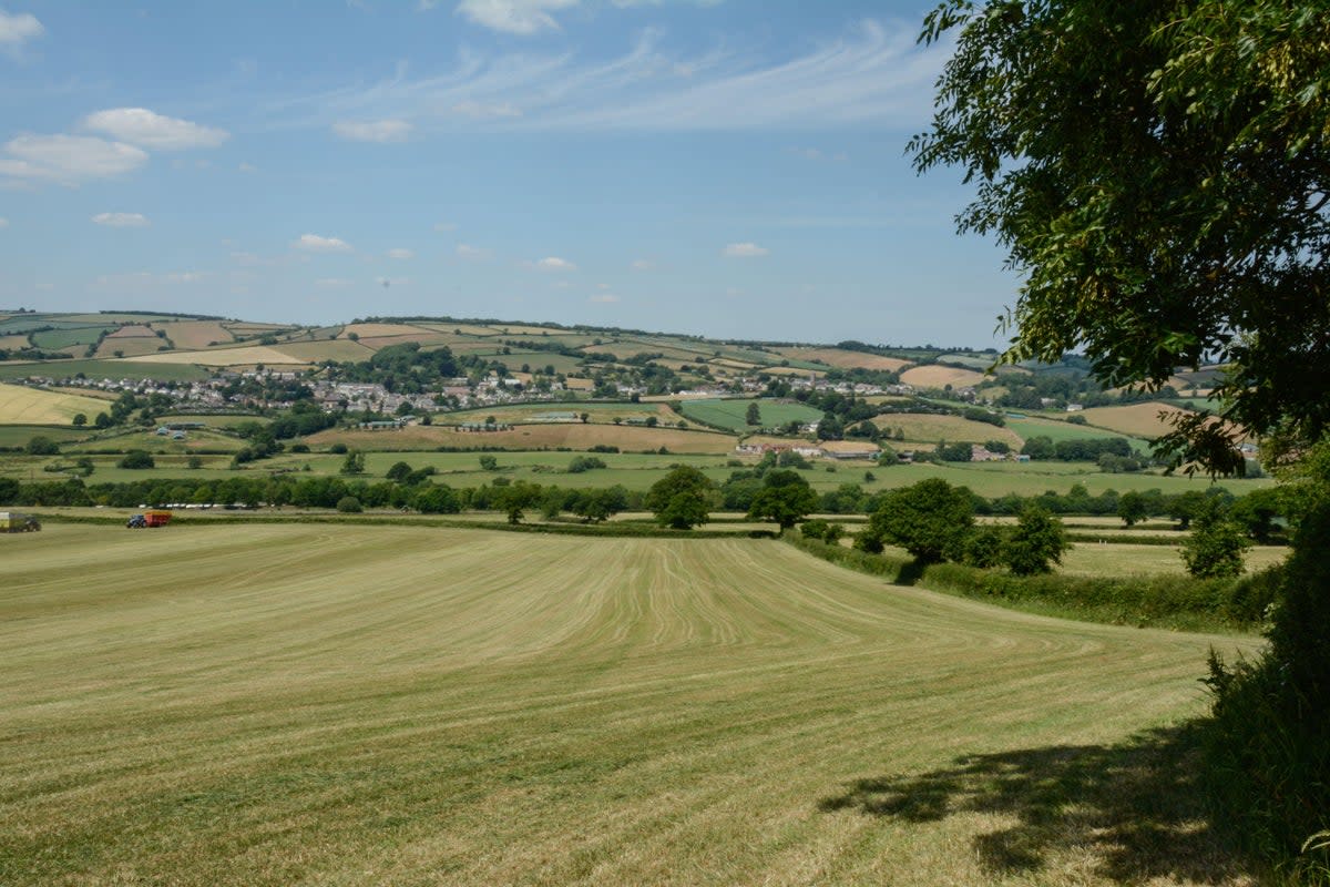 Mid-Devon landscape, looking west across the Culm valley towards the small town of Bradninch