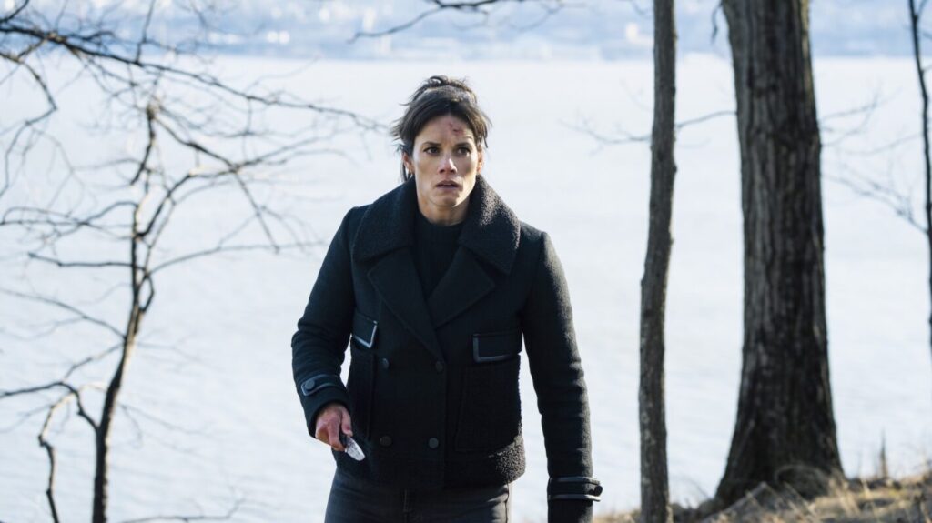 Missy Peregrym as Special Agent Maggie Bell —