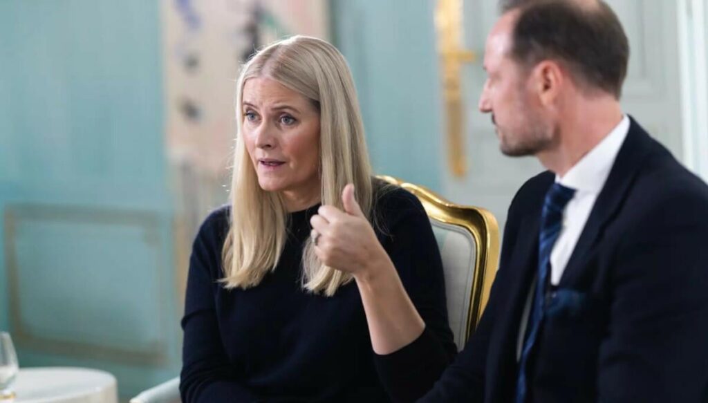NRK shared questions in advance of the interview with Mette-Marit about Epstein. At the same time, key questions remain unanswered
