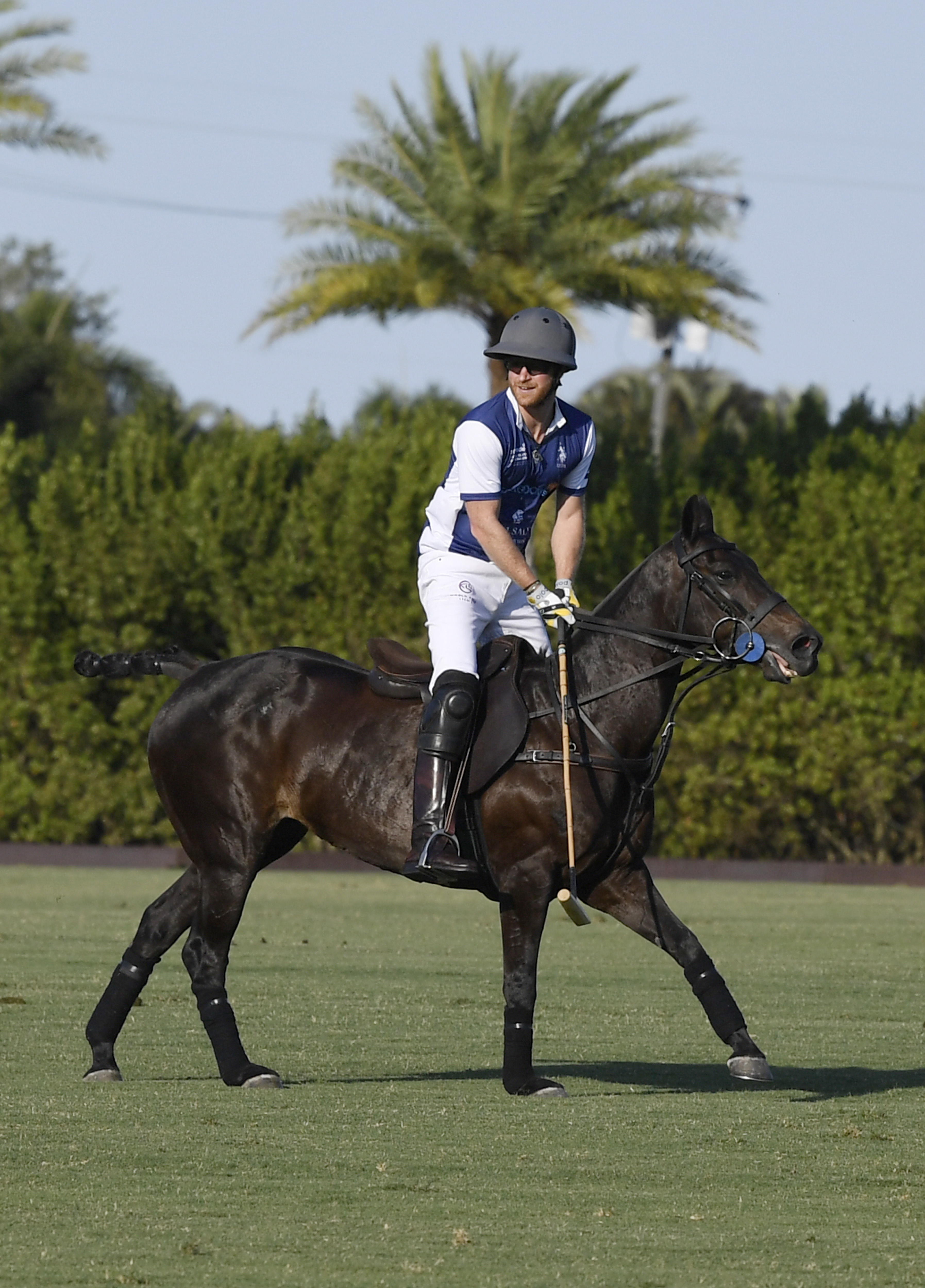 Prince Harry playing polo in front of a palm tree