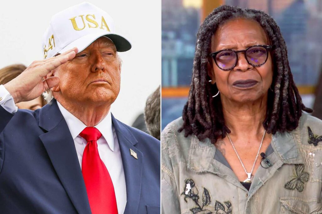 Whoopi Goldberg warns Donald Trump to 'take your damn hat off' for dead soldiers
