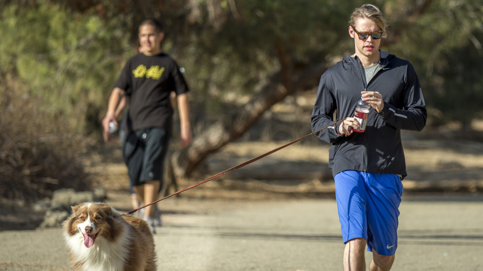 Hands-Down The Best Hiking Trail In Los Angeles For Celebrity Spotting