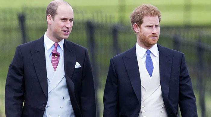 Harry and William's ongoing fight revealed latest royal discussion