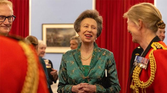 Princess Anne celebrates 80 years of King's Troop Pageantry