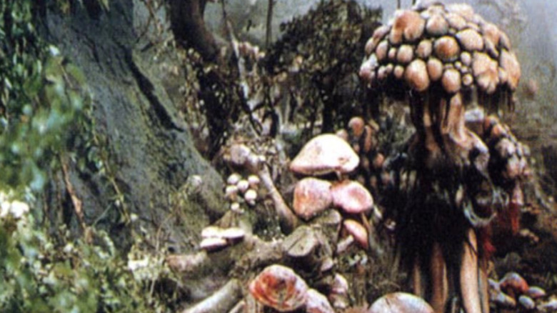 A mushroom person lurking in Matango