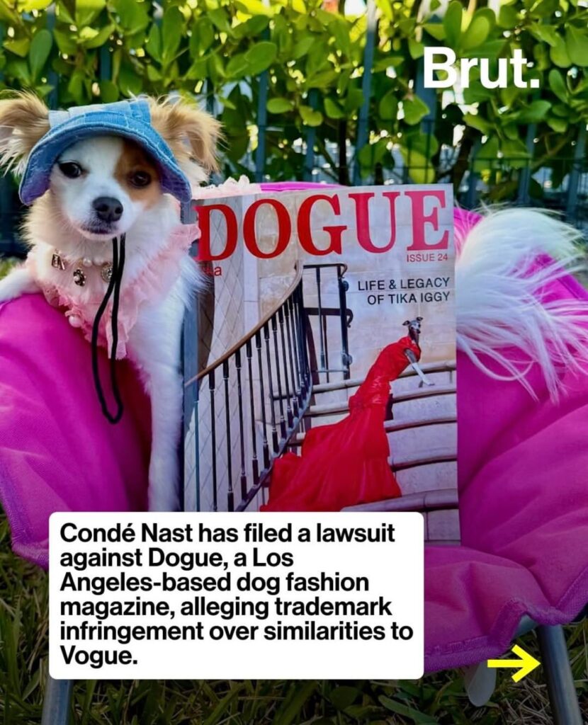 Vogue is suing parody dog fashion magazine Dogue
