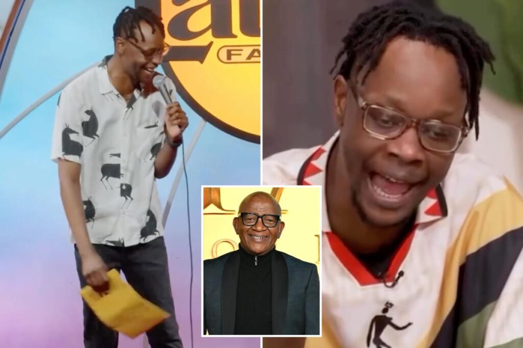 Comedian sued over ‘Lion King’ joke got served $27M lawsuit while onstage: ‘They thought it was a bit’