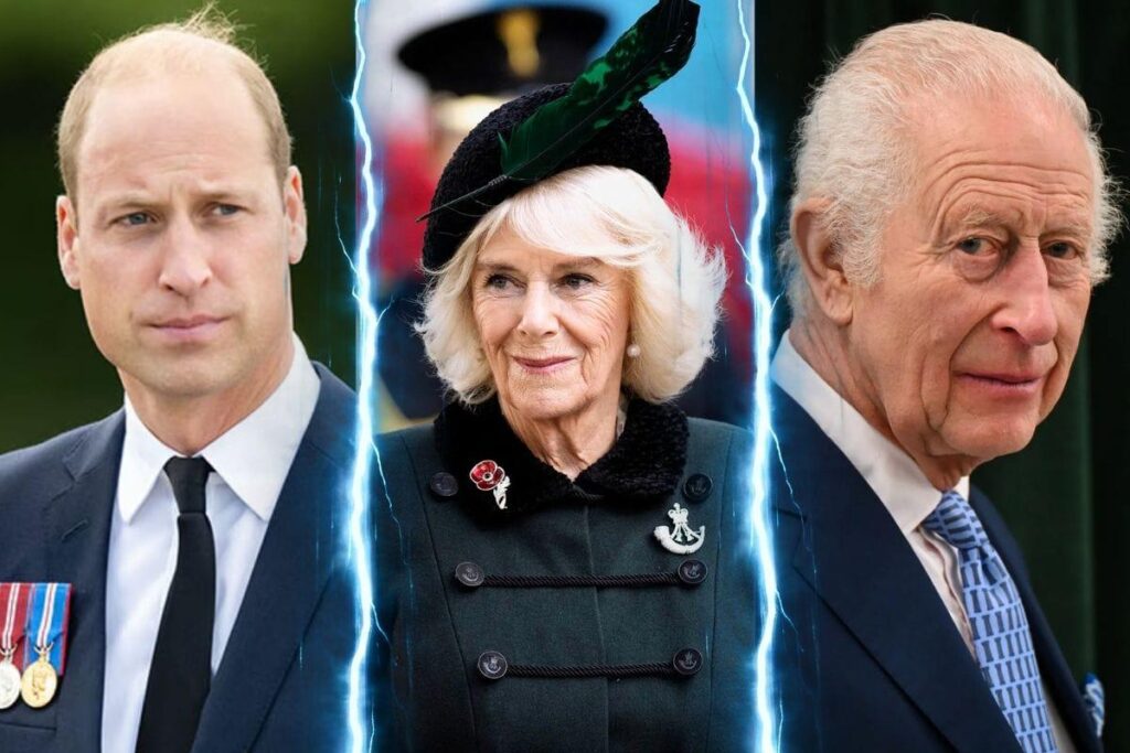 Prince William & Queen Camilla Reportedly Clashed During Royal Discussions